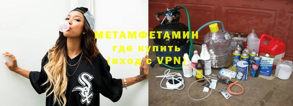 прущие грибы Елизово