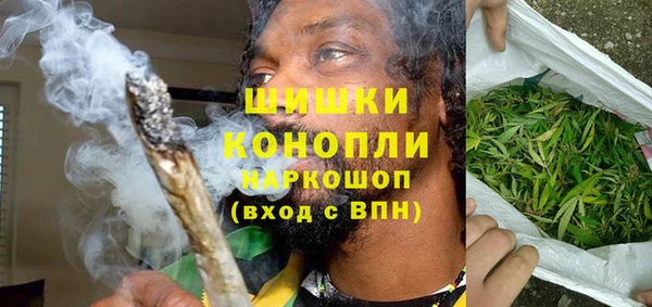 соль ск Богданович