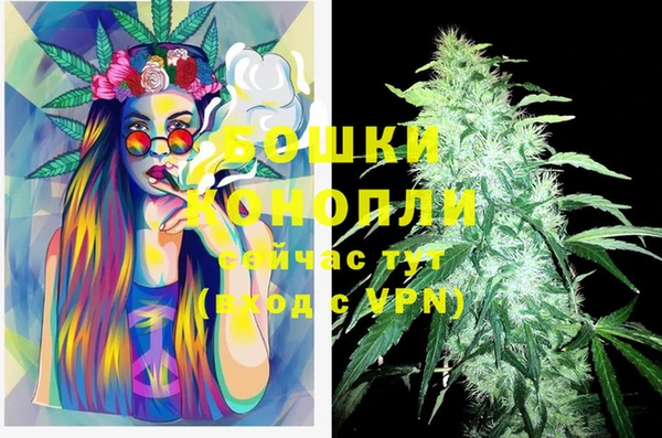 соль ск Богданович