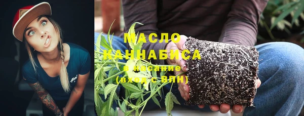 гашик Богородицк