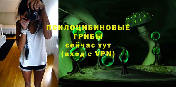 соль ск Богданович