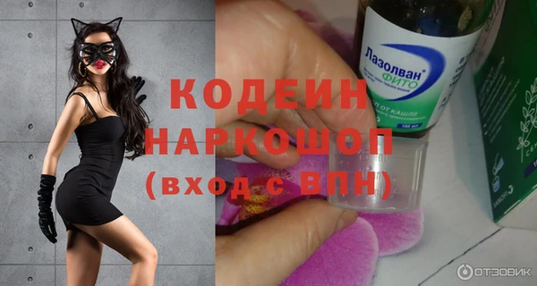 индика Белокуриха