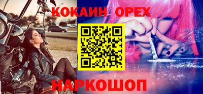 стаф Можга
