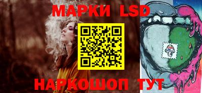 стаф Можга