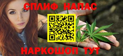 стаф Можга