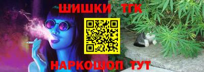 стаф Можга