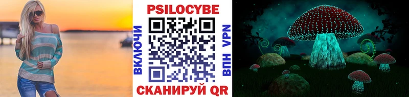 Галлюциногенные грибы Psilocybe  купить  цена  Кушва 
