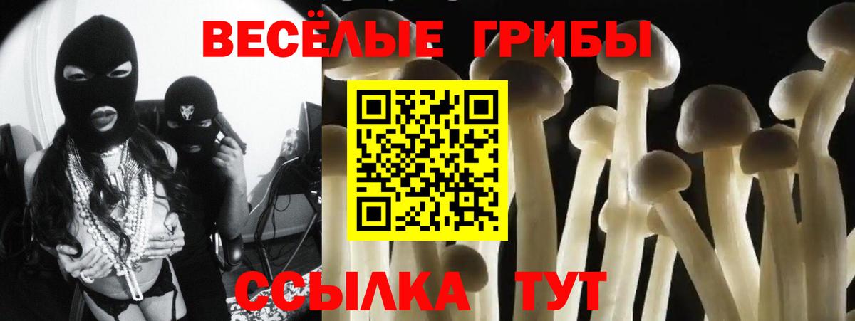 Псилоцибиновые грибы Psilocybine cubensis Кушва