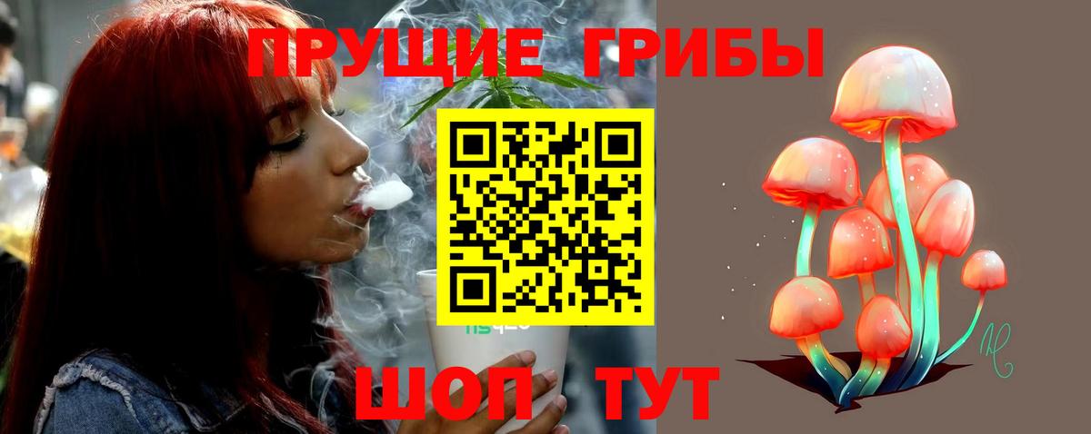Галлюциногенные грибы Magic Shrooms  Галлюциногенные грибы Cubensis  Вход с VPN  Кушва 